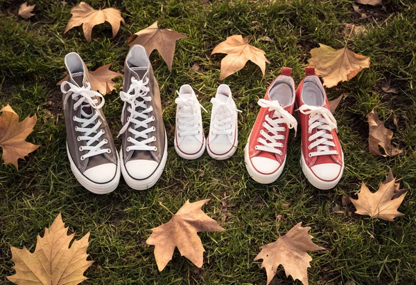 Conceptual image of family sneakers shoes in father mother and baby sizes on grass in beautiful autumn sunset light for togetherness Happy Family Expecting young parents and outdoors lifestyle.