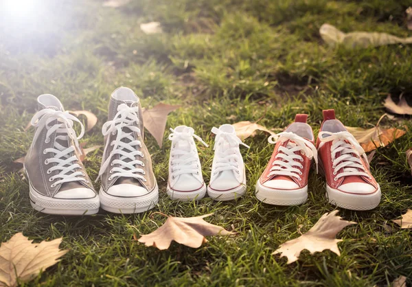 Концептуальний Образ Сімейного Взуття Кросівок Батька Мами Дитини Розміри Траві — стокове фото