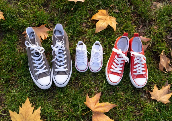 Conceptual image of family sneakers shoes in father mother and baby sizes on grass in beautiful autumn sunset light for togetherness Happy Family Expecting young parents and outdoors lifestyle.