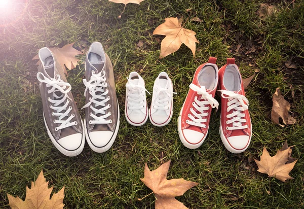 Conceptual image of family sneakers shoes in father mother and baby sizes on grass in beautiful autumn sunset light for togetherness Happy Family Expecting young parents and outdoors lifestyle.