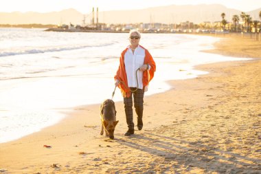 Güzel emekli yaşlı kadın ve plaj arkadaşlık faydaları hayvanların koruma aktif emeklilik yaşam tarzı ve köpek dostu Turizm kıyı deniz okyanus yürürken Alman shepard köpeği.