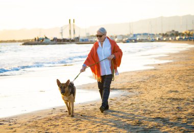 Güzel emekli yaşlı kadın ve plaj arkadaşlık faydaları hayvanların koruma aktif emeklilik yaşam tarzı ve köpek dostu Turizm kıyı deniz okyanus yürürken Alman shepard köpeği.