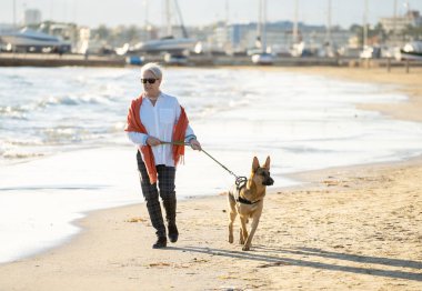 Güzel emekli yaşlı kadın ve plaj arkadaşlık faydaları hayvanların koruma aktif emeklilik yaşam tarzı ve köpek dostu Turizm kıyı deniz okyanus yürürken Alman shepard köpeği.