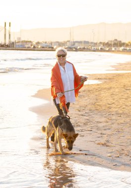 Güzel emekli yaşlı kadın ve plaj arkadaşlık faydaları hayvanların koruma aktif emeklilik yaşam tarzı ve köpek dostu Turizm kıyı deniz okyanus yürürken Alman shepard köpeği.