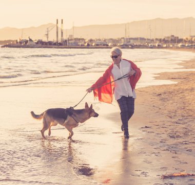 Güzel emekli yaşlı kadın ve plaj arkadaşlık faydaları hayvanların koruma aktif emeklilik yaşam tarzı ve köpek dostu Turizm kıyı deniz okyanus yürürken Alman shepard köpeği.