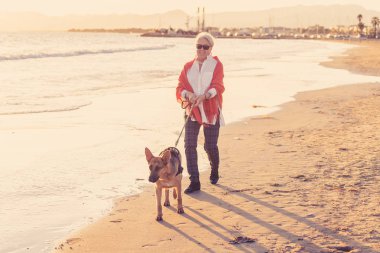 Güzel emekli yaşlı kadın ve plaj arkadaşlık faydaları hayvanların koruma aktif emeklilik yaşam tarzı ve köpek dostu Turizm kıyı deniz okyanus yürürken Alman shepard köpeği.