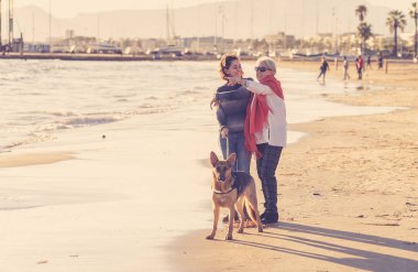 Mutlu kıdemli anne yetişkin kızı ve Alman shepard köpek vakit birlikte günbatımı ışık kumsalda mutlu aile anlarda evde beslenen hayvan hayvanlar yürürken köpek dostu Turizm ve emeklilik faydaları.