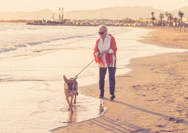 Güzel emekli yaşlı kadın ve plaj arkadaşlık faydaları hayvanların koruma aktif emeklilik yaşam tarzı ve köpek dostu Turizm kıyı deniz okyanus yürürken Alman shepard köpeği.