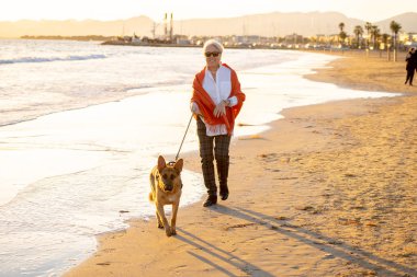 Güzel emekli yaşlı kadın ve plaj arkadaşlık faydaları hayvanların koruma aktif emeklilik yaşam tarzı ve köpek dostu Turizm kıyı deniz okyanus yürürken Alman shepard köpeği.