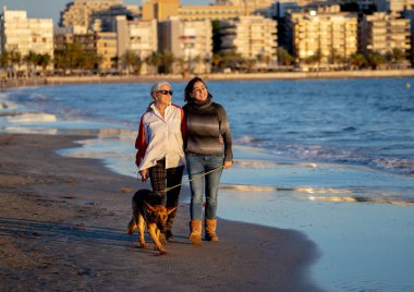Mutlu kıdemli anne yetişkin kızı ve Alman shepard köpek vakit birlikte günbatımı ışık kumsalda mutlu aile anlarda evde beslenen hayvan hayvanlar yürürken köpek dostu Turizm ve emeklilik faydaları.