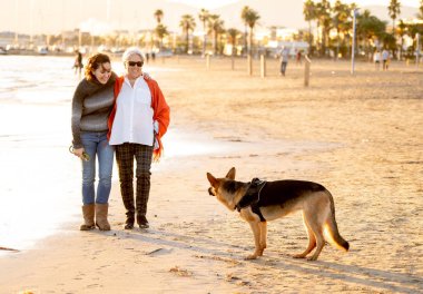 Mutlu kıdemli anne yetişkin kızı ve Alman shepard köpek vakit birlikte günbatımı ışık kumsalda mutlu aile anlarda evde beslenen hayvan hayvanlar yürürken köpek dostu Turizm ve emeklilik faydaları.