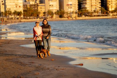 Mutlu kıdemli anne yetişkin kızı ve Alman shepard köpek vakit birlikte günbatımı ışık kumsalda mutlu aile anlarda evde beslenen hayvan hayvanlar yürürken köpek dostu Turizm ve emeklilik faydaları.