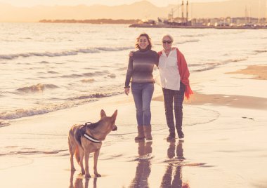 Mutlu kıdemli anne yetişkin kızı ve Alman shepard köpek vakit birlikte günbatımı ışık kumsalda mutlu aile anlarda evde beslenen hayvan hayvanlar yürürken köpek dostu Turizm ve emeklilik faydaları.
