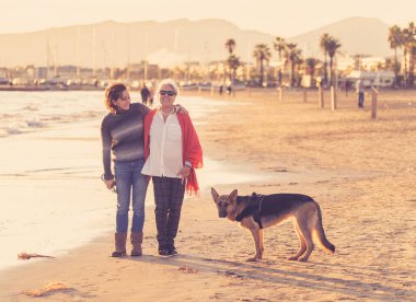 Mutlu kıdemli anne yetişkin kızı ve Alman shepard köpek vakit birlikte günbatımı ışık kumsalda mutlu aile anlarda evde beslenen hayvan hayvanlar yürürken köpek dostu Turizm ve emeklilik faydaları.