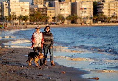 Mutlu kıdemli anne yetişkin kızı ve Alman shepard köpek vakit birlikte günbatımı ışık kumsalda mutlu aile anlarda evde beslenen hayvan hayvanlar yürürken köpek dostu Turizm ve emeklilik faydaları.