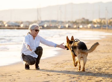 Güzel dul yaşlı kadın onun Alman shepard onun arkadaşı zevk köpek ve aşk ile sahilde günbatımı hayvan faydaları tutma aktif emeklilik yaşam tarzı oynayan ve dostu Turizm köpek.