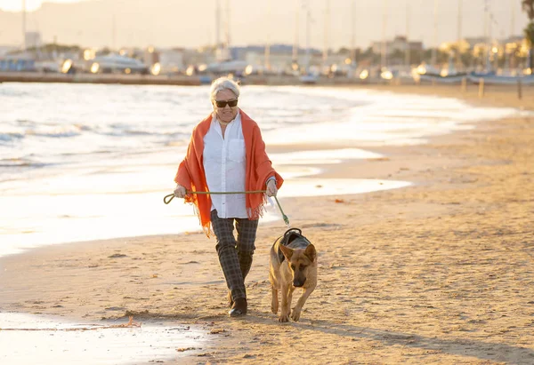 Güzel emekli yaşlı kadın ve plaj arkadaşlık faydaları hayvanların koruma aktif emeklilik yaşam tarzı ve köpek dostu Turizm kıyı deniz okyanus yürürken Alman shepard köpeği.