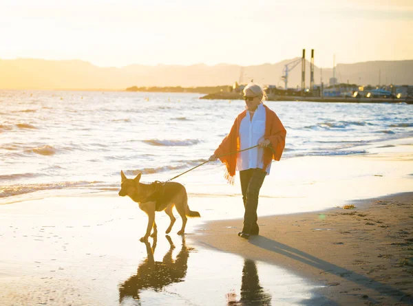Güzel emekli yaşlı kadın ve plaj arkadaşlık faydaları hayvanların koruma aktif emeklilik yaşam tarzı ve köpek dostu Turizm kıyı deniz okyanus yürürken Alman shepard köpeği.