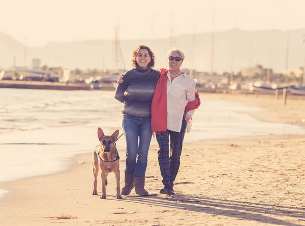 Mutlu kıdemli anne yetişkin kızı ve Alman shepard köpek vakit birlikte günbatımı ışık kumsalda mutlu aile anlarda evde beslenen hayvan hayvanlar yürürken köpek dostu Turizm ve emeklilik faydaları.