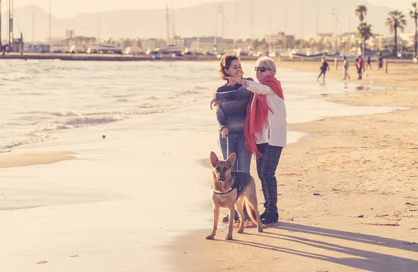 Mutlu kıdemli anne yetişkin kızı ve Alman shepard köpek vakit birlikte günbatımı ışık kumsalda mutlu aile anlarda evde beslenen hayvan hayvanlar yürürken köpek dostu Turizm ve emeklilik faydaları.