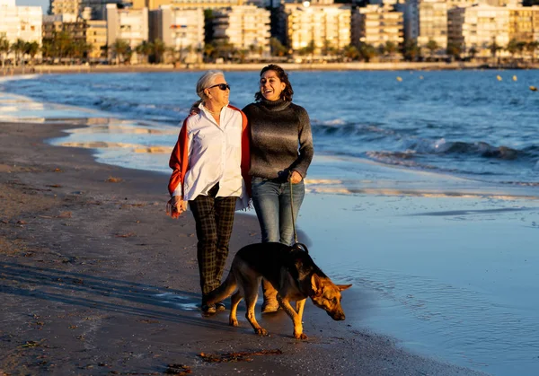 Mãe Sênior Feliz Sua Filha Adulta Cão Pastor Alemão Passar — Fotografia de Stock