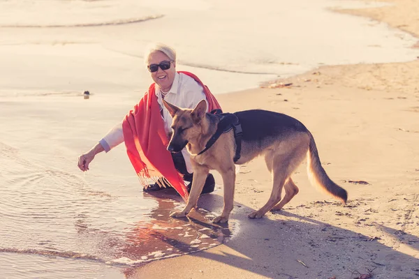 Пожилая Женщина Играет Своей Немецкой Собакой Шепардом Наслаждаясь Своей Спутницей — стоковое фото