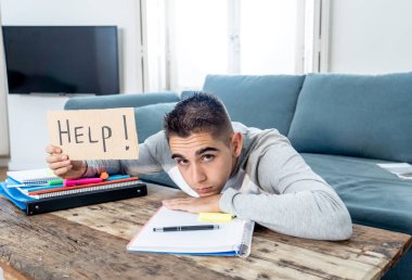 Genç yorgun ve çaresiz ve sinirli yardımını duygu masters ödevini üzerinde çalışma öğrenci vurguladı. İçinde eğitim üzerinde öğrenme güçlükleri, final sınavları ve duygusal stres kavramı.