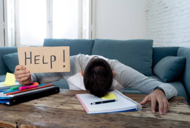 Genç yorgun ve çaresiz ve sinirli yardımını duygu masters ödevini üzerinde çalışma öğrenci vurguladı. İçinde eğitim üzerinde öğrenme güçlükleri, final sınavları ve duygusal stres kavramı.