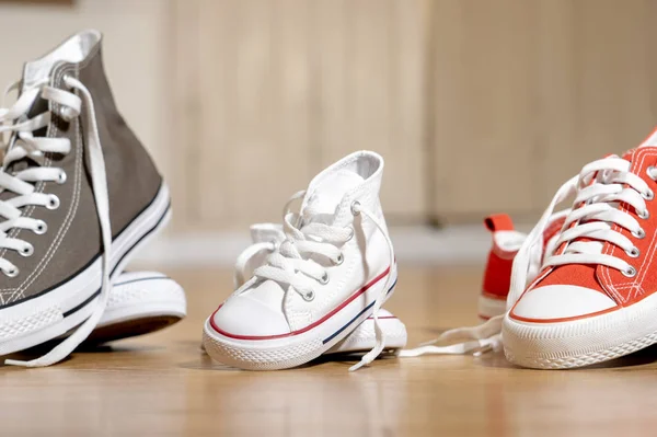 Conceptual image of gumshoes sneakers shoes of father mother and son daughter family on wood floor in different sizes in Sweet home togetherness Happy Family Parenting and expecting a baby concept.