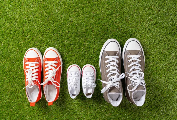 Conceptual image family gumshoes sneakers of father mother and son daughter on green grass in man woman and children sizes in Happy moments together Family Parenting Education and lifestyle concept.