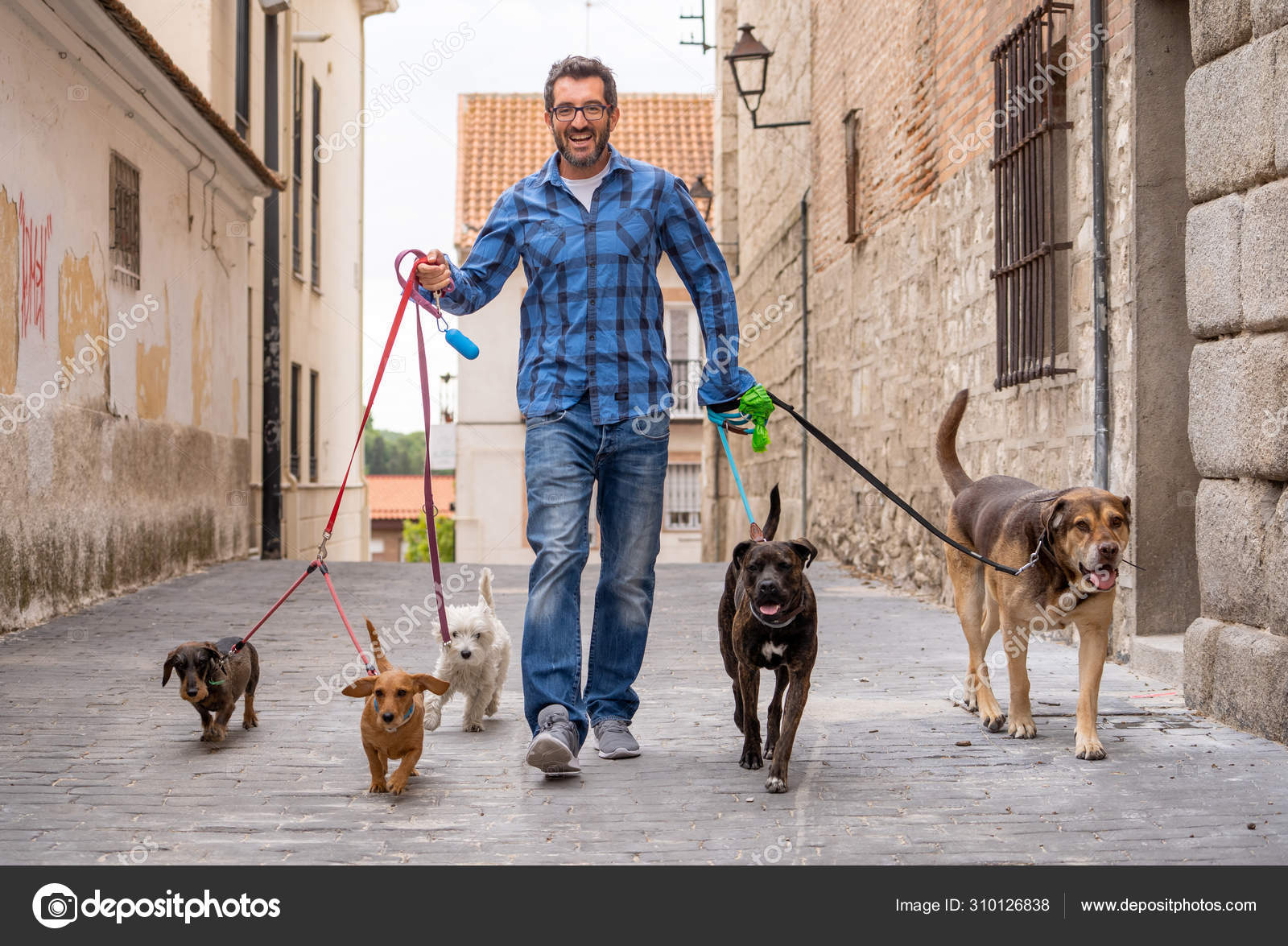 Professional Dog Walker Pet Sitter Walking Pack Cute Different