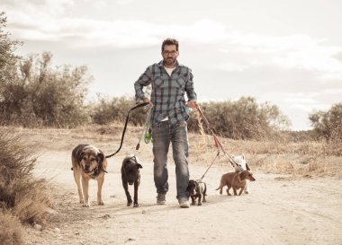 Profesyonel köpek yürüteç veya evcil hayvan bakıcısı şehir caddesinde tasma üzerinde sevimli farklı cins ve kurtarma köpekleri bir paket yürüyüş.