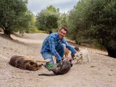 Profesyonel köpek yürüteç veya sevimli farklı cins ve kurtarma köpekleri zevk ve parkta açık sarılma bir paket ile evcil hayvan bakıcısı. Parkta tasma üzerinde köpek severler ve yürüyüş köpekleri.