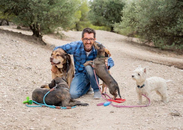 Caminhante Profissional Cão Pet Sitter Com Pacote Raça Diferente Bonito — Fotografia de Stock