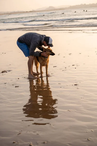 Homem Cão Pastor Alemão Brincando Praia Pôr Sol Proprietário Com — Fotografia de Stock