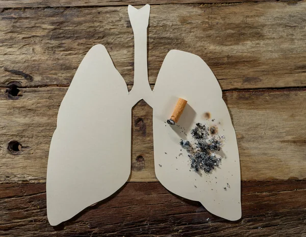 纸肺上燃烧香烟的概念形象在乡村背景下被分离出来 烟草和肺癌的广告风格 医疗警告 戒烟和戒烟运动 — 图库照片