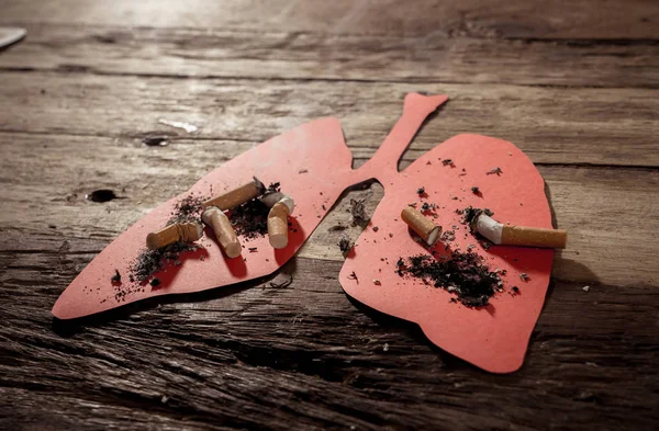 香烟立柱和红色肺燃烧的概念形象在乡村背景下被隔离 烟草和肺癌的广告风格 医疗警告 戒烟和戒烟运动 — 图库照片