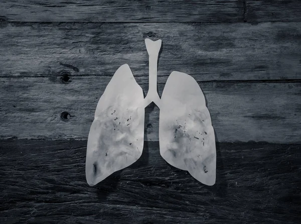 Fogalmi Kép Piszkos Papír Tüdő Izolált Rusztikus Háttérrel Dohány Tüdőrák — Stock Fotó