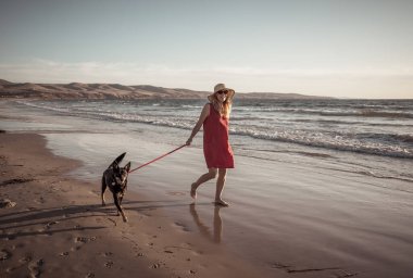 Güzel, olgun, emekli bir kadın ve evcil bir köpek boş kumsalda birlikte yürüyor. Açık havada umut ve Coronavirus kilitleme kavramından sonra yeni normal hayata dönüş egzersizleri..