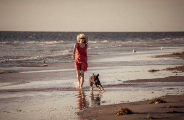 Güzel, olgun, emekli bir kadın ve evcil bir köpek boş kumsalda birlikte yürüyor. Açık havada umut ve Coronavirus kilitleme kavramından sonra yeni normal hayata dönüş egzersizleri..