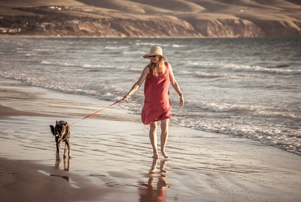 Beautiful Mature Retired Woman Pet Dog Walking Together Empty Remote — Stock Photo, Image