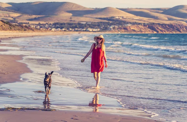 Красивая Зрелая Женщина Пенсии Собака Гуляющие Вместе Пустом Удаленном Пляже — стоковое фото