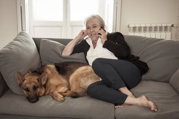 Confident happy senior woman with her pet, big dog german shepherd, talking on mobile enjoying life at home. Positive image of coronavirus Outbreak Stay Home and animal benefits for mental health.
