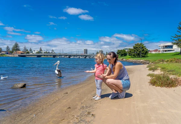 Bonne Mère Fille Amusent Nourrir Les Pélicans Bord Lac Portrait — Photo