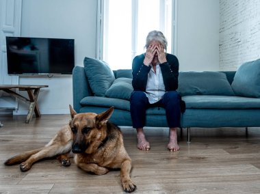 Bunalımlı yaşlı kadın evcil bir köpekle kanepede ağlıyordu. COVID-19 salgınının ortasında üzgün ve yorgun bir dul. Coronavirus ölümü, tecrit, sosyal uzaklık ve zihinsel sağlık.