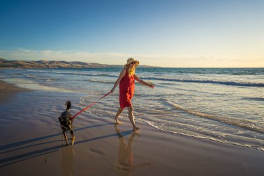 Güzel, olgun bir kadın ve evcil bir köpek uzak, boş bir sahilde deniz kıyısında yürüyor. Emeklilik yaşam tarzını ve köpek dostu turizmi devam ettiren hayvanların Arkadaşlık Yararları.