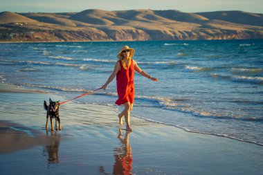 Güzel, olgun bir kadın ve evcil bir köpek uzak, boş bir sahilde deniz kıyısında yürüyor. Emeklilik yaşam tarzını ve köpek dostu turizmi devam ettiren hayvanların Arkadaşlık Yararları.