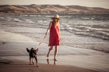 Güzel, olgun bir kadın ve evcil bir köpek uzak, boş bir sahilde deniz kıyısında yürüyor. Emeklilik yaşam tarzını ve köpek dostu turizmi devam ettiren hayvanların Arkadaşlık Yararları.