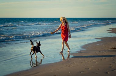 Güzel, olgun bir kadın ve evcil bir köpek uzak, boş bir sahilde deniz kıyısında yürüyor. Emeklilik yaşam tarzını ve köpek dostu turizmi devam ettiren hayvanların Arkadaşlık Yararları.