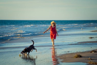 Güzel, olgun bir kadın ve evcil bir köpek uzak, boş bir sahilde deniz kıyısında yürüyor. Emeklilik yaşam tarzını ve köpek dostu turizmi devam ettiren hayvanların Arkadaşlık Yararları.